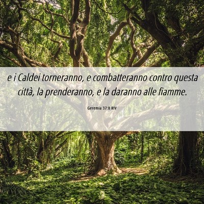 Picture 06 - Geremia 37:8 RIV - e i Caldei torneranno, e combatteranno contro - Bible Verse Picture