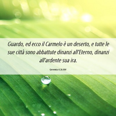 Picture 06 - Geremia 4:26 RIV - Guardo, ed ecco il Carmelo è un deserto, e tutte - Bible Verse Picture