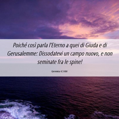 Picture 06 - Geremia 4:3 RIV - Poiché così parla l’Eterno a quei di Giuda e - Bible Verse Picture