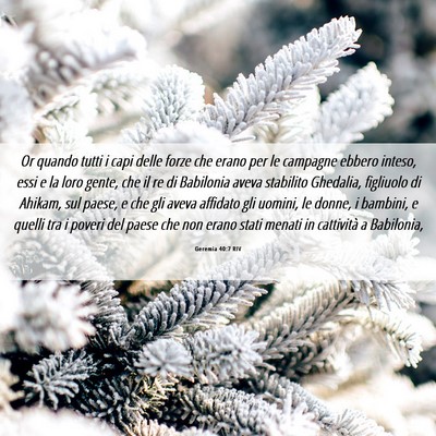 Picture 06 - Geremia 40:7 RIV - Or quando tutti i capi delle forze che erano per - Bible Verse Picture
