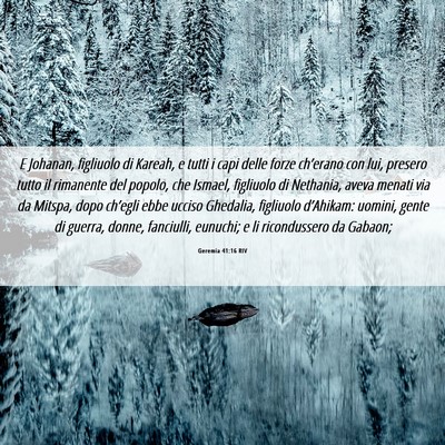 Picture 06 - Geremia 41:16 RIV - E Johanan, figliuolo di Kareah, e tutti i capi - Bible Verse Picture