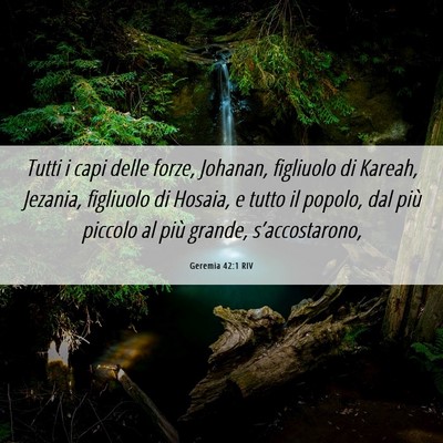 Picture 06 - Geremia 42:1 RIV - Tutti i capi delle forze, Johanan, figliuolo di - Bible Verse Picture