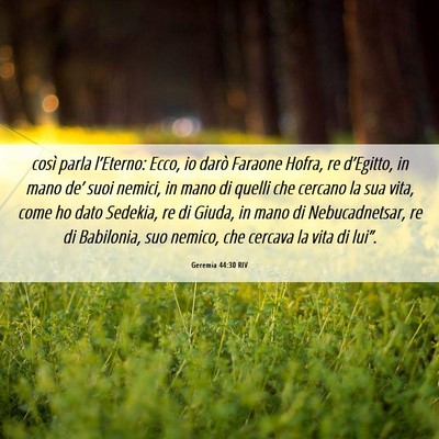 Picture 06 - Geremia 44:30 RIV - così parla l’Eterno: Ecco, io darò Faraone - Bible Verse Picture