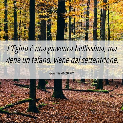 Picture 06 - Geremia 46:20 RIV - L’Egitto è una giovenca bellissima, ma viene - Bible Verse Picture
