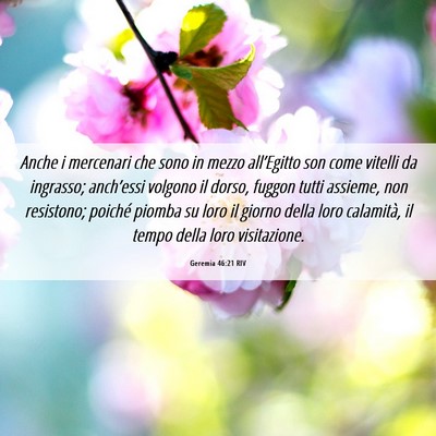 Picture 06 - Geremia 46:21 RIV - Anche i mercenari che sono in mezzo all’Egitto - Bible Verse Picture