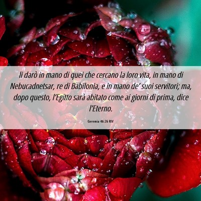Picture 06 - Geremia 46:26 RIV - li darò in mano di quei che cercano la loro - Bible Verse Picture