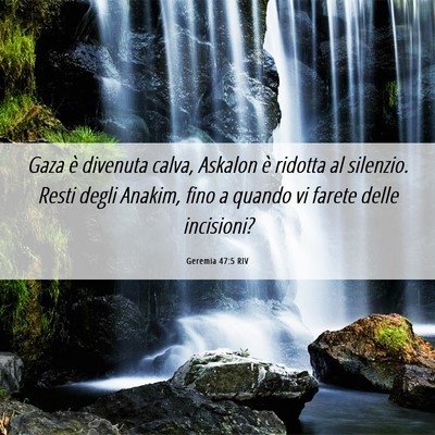 Picture 06 - Geremia 47:5 RIV - Gaza è divenuta calva, Askalon è ridotta al - Bible Verse Picture