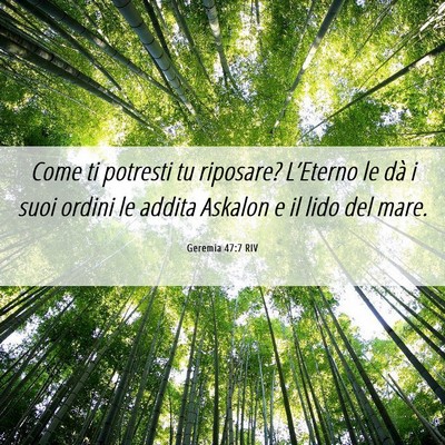 Picture 06 - Geremia 47:7 RIV - Come ti potresti tu riposare? L’Eterno le dà i - Bible Verse Picture