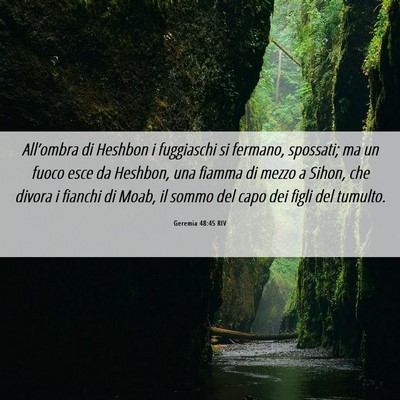 Picture 06 - Geremia 48:45 RIV - All’ombra di Heshbon i fuggiaschi si fermano, - Bible Verse Picture