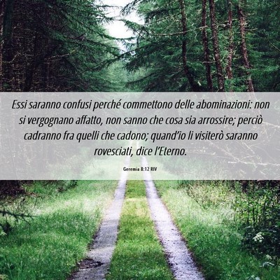 Picture 06 - Geremia 8:12 RIV - Essi saranno confusi perché commettono delle - Bible Verse Picture