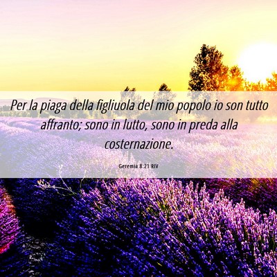 Picture 06 - Geremia 8:21 RIV - Per la piaga della figliuola del mio popolo io - Bible Verse Picture