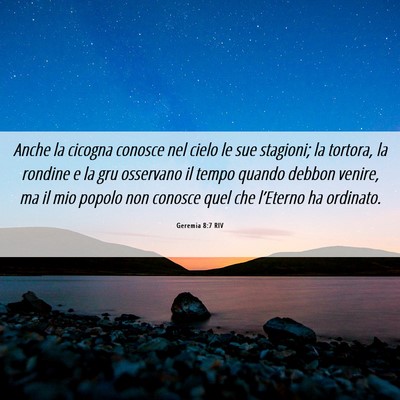 Picture 06 - Geremia 8:7 RIV - Anche la cicogna conosce nel cielo le sue - Bible Verse Picture