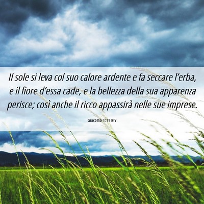 Picture 06 - Giacomo 1:11 RIV - Il sole si leva col suo calore ardente e fa - Bible Verse Picture