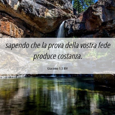 Picture 06 - Giacomo 1:3 RIV - sapendo che la prova della vostra fede produce - Bible Verse Picture
