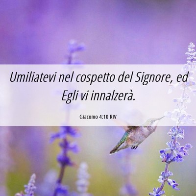 Picture 06 - Giacomo 4:10 RIV - Umiliatevi nel cospetto del Signore, ed Egli vi - Bible Verse Picture