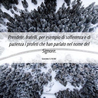Picture 06 - Giacomo 5:10 RIV - Prendete, fratelli, per esempio di sofferenza e - Bible Verse Picture