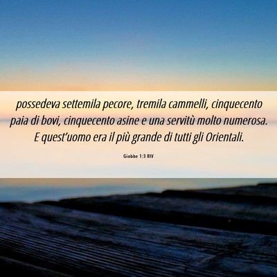 Picture 06 - Giobbe 1:3 RIV - possedeva settemila pecore, tremila cammelli, - Bible Verse Picture