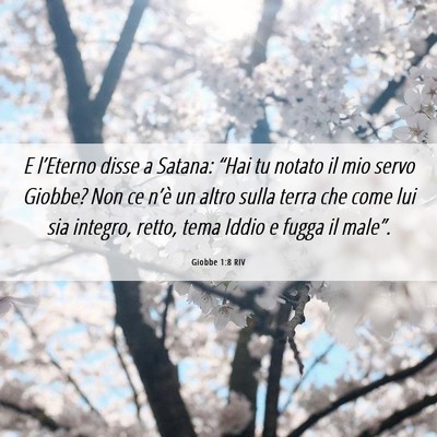 Picture 06 - Giobbe 1:8 RIV - E l’Eterno disse a Satana: “Hai tu notato il - Bible Verse Picture