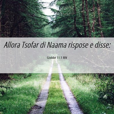 Picture 06 - Giobbe 11:1 RIV - Allora Tsofar di Naama rispose e - Bible Verse Picture