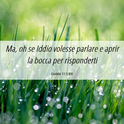 Picture 06 - Giobbe 11:5 RIV - Ma, oh se Iddio volesse parlare e aprir la bocca - Bible Verse Picture