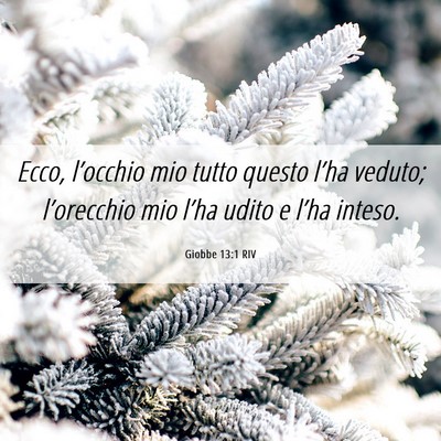 Picture 06 - Giobbe 13:1 RIV - Ecco, l’occhio mio tutto questo l’ha veduto; - Bible Verse Picture