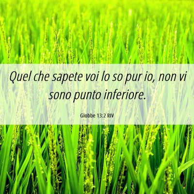 Picture 06 - Giobbe 13:2 RIV - Quel che sapete voi lo so pur io, non vi sono - Bible Verse Picture