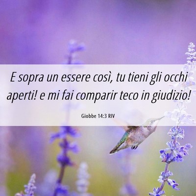 Picture 06 - Giobbe 14:3 RIV - E sopra un essere così, tu tieni gli occhi - Bible Verse Picture