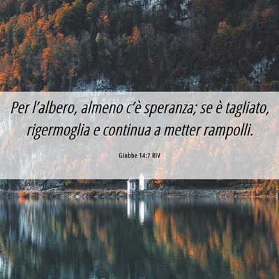 Picture 06 - Giobbe 14:7 RIV - Per l’albero, almeno c’è speranza; se è - Bible Verse Picture