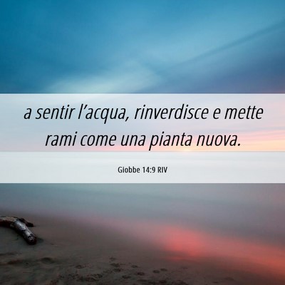 Picture 06 - Giobbe 14:9 RIV - a sentir l’acqua, rinverdisce e mette rami come - Bible Verse Picture
