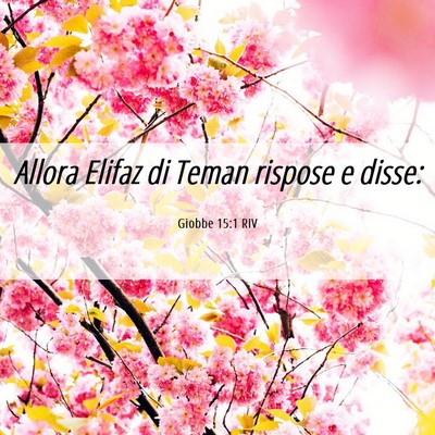 Picture 06 - Giobbe 15:1 RIV - Allora Elifaz di Teman rispose e - Bible Verse Picture