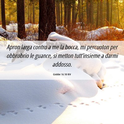 Picture 06 - Giobbe 16:10 RIV - Apron larga contro a me la bocca, mi percuoton - Bible Verse Picture