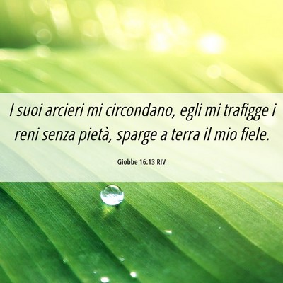Picture 06 - Giobbe 16:13 RIV - I suoi arcieri mi circondano, egli mi trafigge i - Bible Verse Picture