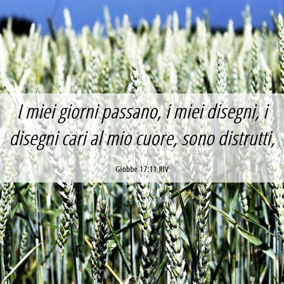 Picture 06 - Giobbe 17:11 RIV - I miei giorni passano, i miei disegni, i disegni - Bible Verse Picture