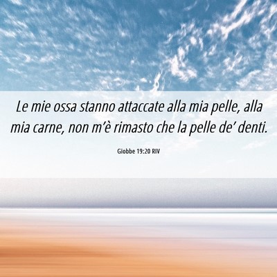 Picture 06 - Giobbe 19:20 RIV - Le mie ossa stanno attaccate alla mia pelle, alla - Bible Verse Picture