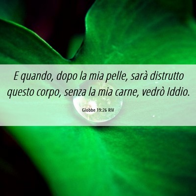 Picture 06 - Giobbe 19:26 RIV - E quando, dopo la mia pelle, sarà distrutto - Bible Verse Picture