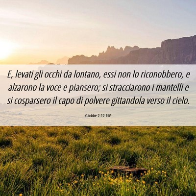 Picture 06 - Giobbe 2:12 RIV - E, levati gli occhi da lontano, essi non lo - Bible Verse Picture