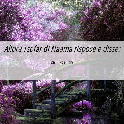 Picture 06 - Giobbe 20:1 RIV - Allora Tsofar di Naama rispose e - Bible Verse Picture