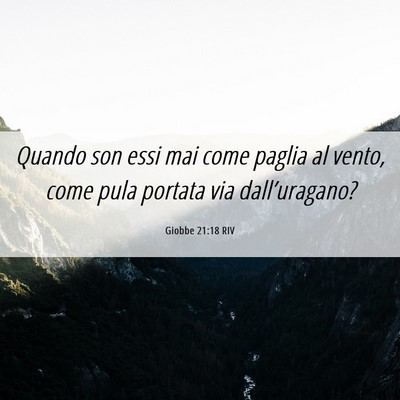 Picture 06 - Giobbe 21:18 RIV - Quando son essi mai come paglia al vento, come - Bible Verse Picture