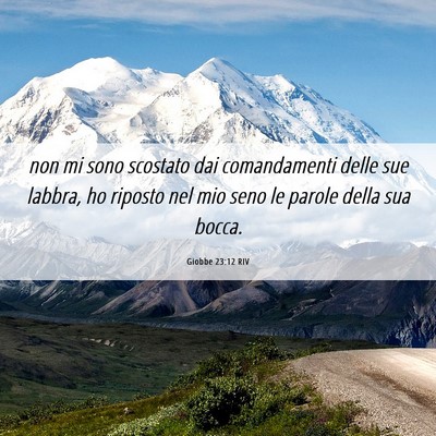Picture 06 - Giobbe 23:12 RIV - non mi sono scostato dai comandamenti delle sue - Bible Verse Picture