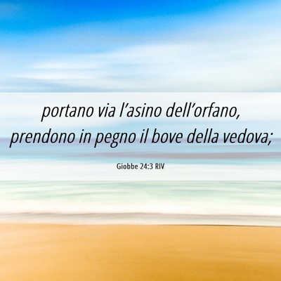 Picture 06 - Giobbe 24:3 RIV - portano via l’asino dell’orfano, prendono in - Bible Verse Picture