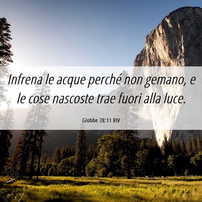 Picture 06 - Giobbe 28:11 RIV - Infrena le acque perché non gemano, e le cose - Bible Verse Picture