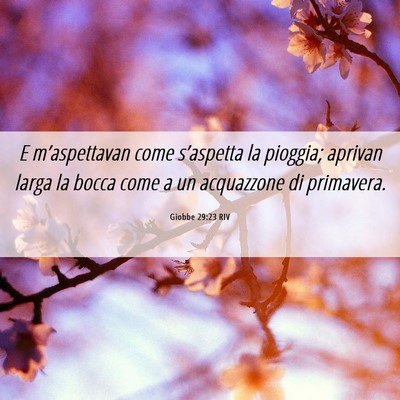 Picture 06 - Giobbe 29:23 RIV - E m’aspettavan come s’aspetta la pioggia; - Bible Verse Picture