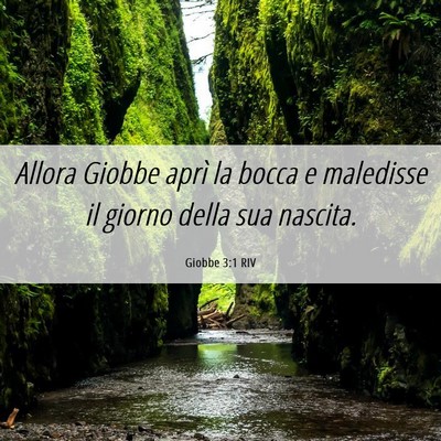 Picture 06 - Giobbe 3:1 RIV - Allora Giobbe aprì la bocca e maledisse il - Bible Verse Picture