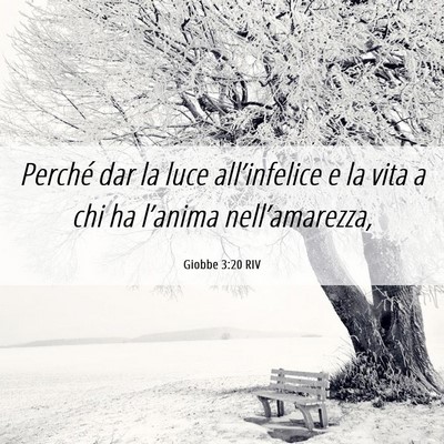 Picture 06 - Giobbe 3:20 RIV - Perché dar la luce all’infelice e la vita a - Bible Verse Picture