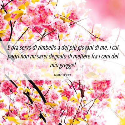 Picture 06 - Giobbe 30:1 RIV - E ora servo di zimbello a dei più giovani di me, - Bible Verse Picture