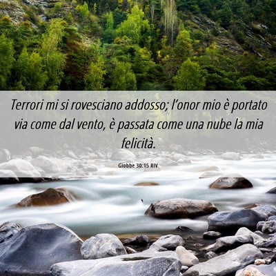 Picture 06 - Giobbe 30:15 RIV - Terrori mi si rovesciano addosso; l’onor mio è - Bible Verse Picture