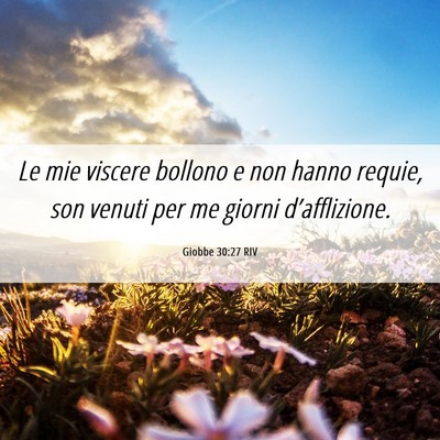 Picture 06 - Giobbe 30:27 RIV - Le mie viscere bollono e non hanno requie, son - Bible Verse Picture