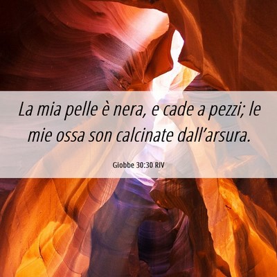 Picture 06 - Giobbe 30:30 RIV - La mia pelle è nera, e cade a pezzi; le mie ossa - Bible Verse Picture