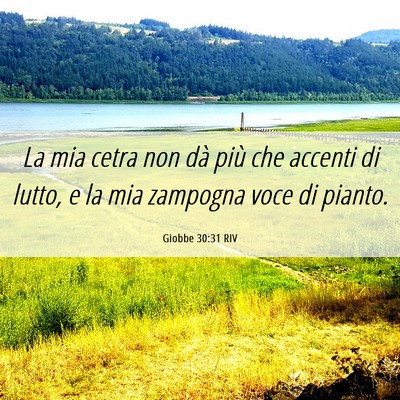 Picture 06 - Giobbe 30:31 RIV - La mia cetra non dà più che accenti di lutto, e - Bible Verse Picture