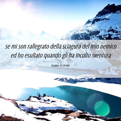 Picture 06 - Giobbe 31:29 RIV - se mi son rallegrato della sciagura del mio - Bible Verse Picture